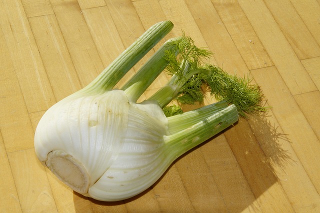 fennel for an article about fennel seeds